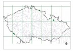 Rozšíření sítiny trojklané v České republice. Podle L. Záveské Drábkové (2013)