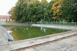 Místem nálezu pedomorfních  jedinců i albínů čolka obecného (Lissotriton vulgaris) byla požární nádrž na návsi obce Stará Lysá v okrese  Nymburk. Foto O. Kopecký