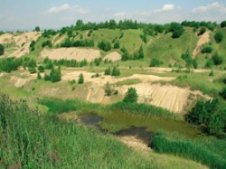 Spontánně zarostlá část Radovesické výsypky 15 let po nasypání. Pozoruhodná a mimořádně biologicky cenná je pestrá mozaika mokřadů, předlesních stadií a ploch nezarostlých v důsledku nízkého pH substrátu. Foto K. Prach / © K. Prach