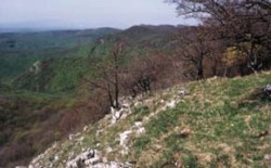 Skalní ostrožna obklopená teplomilnými doubravami, v pozadí náhorní plošina Bükku. Foto P. Szymonik